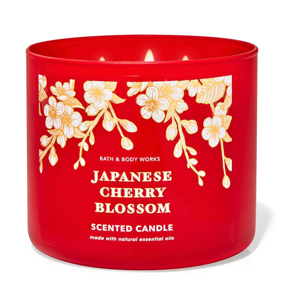 Japanesse Cherry Blossom